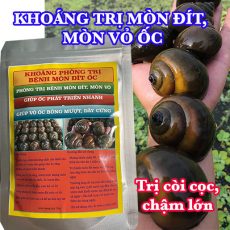 Thuộc trị mòn đít cho ốc bươu đen