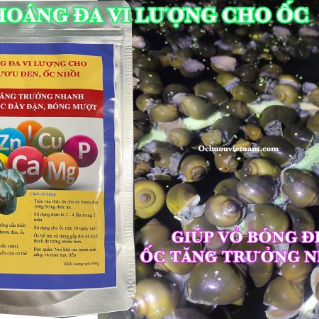 Khoáng đa vi lượng