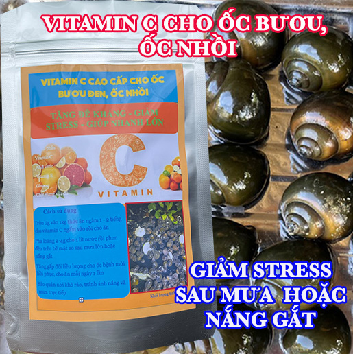 Vitamin C cho ốc bươu đen